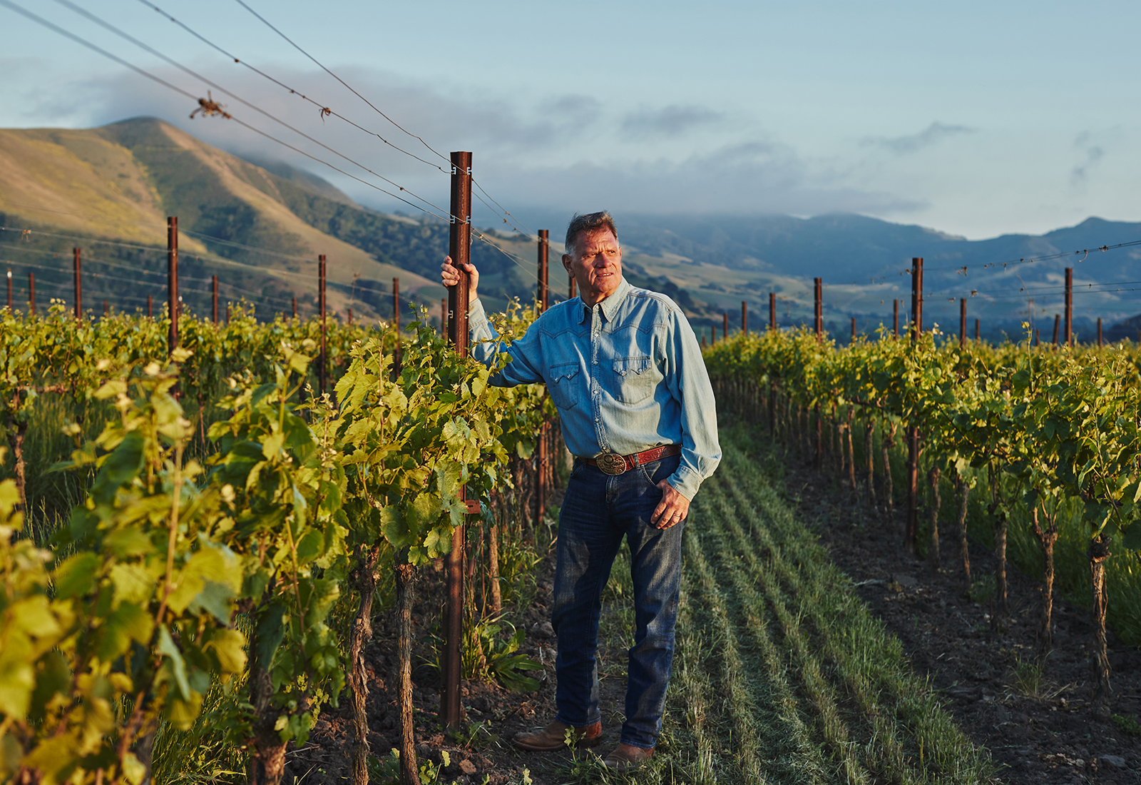 5_Pence_vineyard_listening_land_1600x1100