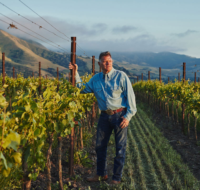 5_Pence_vineyard_listening_land_840x800