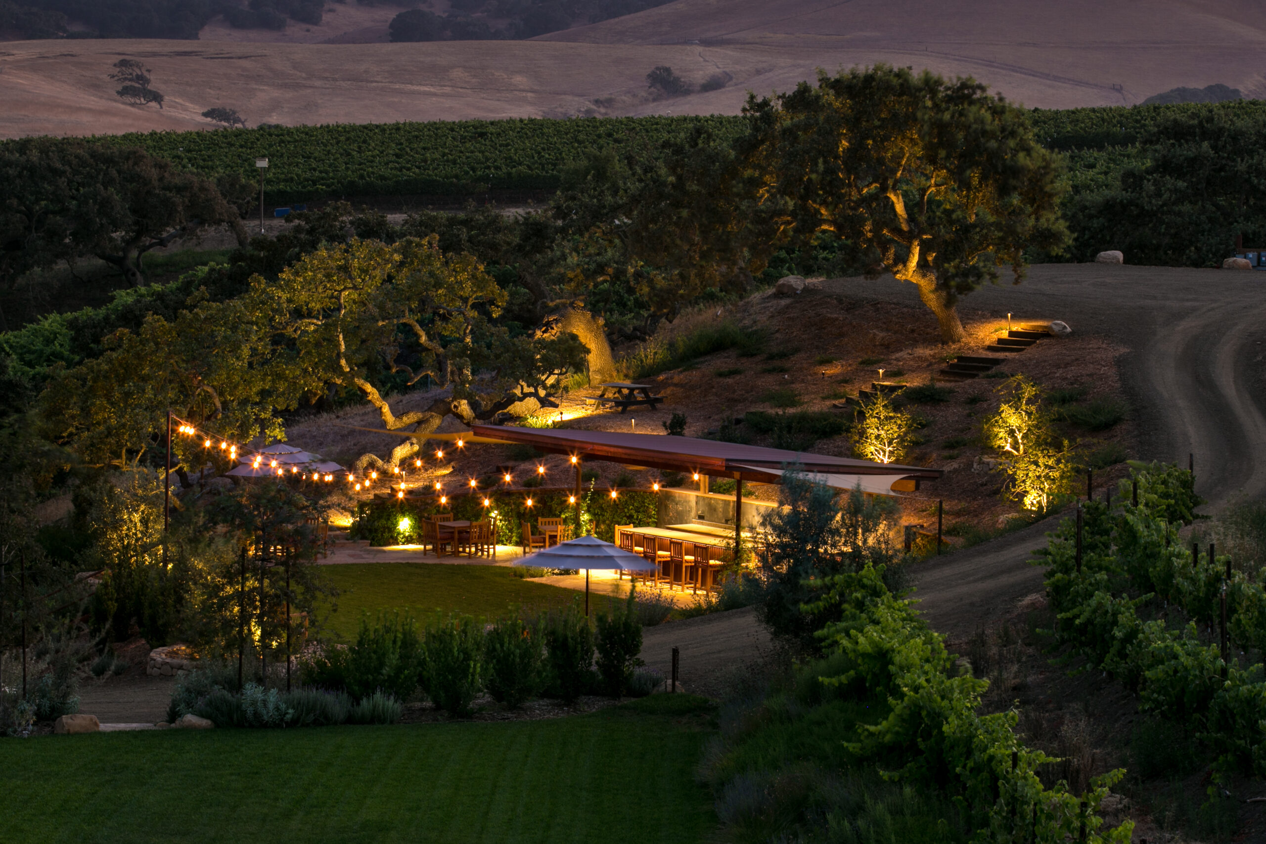 Pence Vineyard Bowl at Night #2